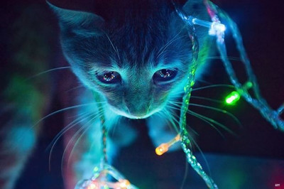 64% OFF on Christmas Lights Photographic Paper