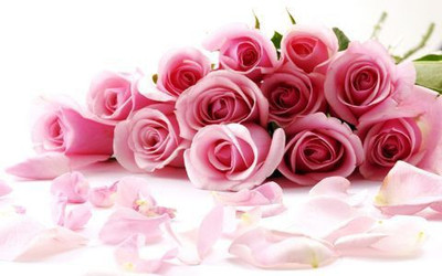 73% OFF on Pink Rose Flower Photographic Paper 73% OFF on Pink Rose Flower Photographic Paper