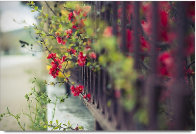 34% OFF on Amy Vintage Beautiful Pink Flower Paper Print 34% OFF on Amy Vintage Beautiful Pink Flower Paper Print