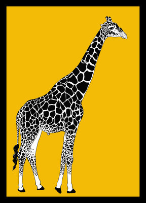 50% OFF on Giraffe 01 Paper Print