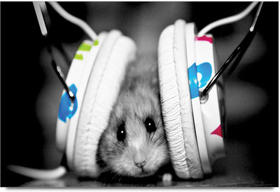 34% OFF on Amy Hamster Headphones 3D Poster 34% OFF on Amy Hamster Headphones 3D Poster