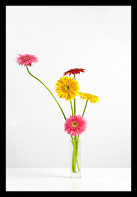 50% OFF on Gerbera in Paper Print 50% OFF on Gerbera in Paper Print