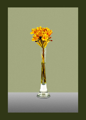 50% OFF on Flowers in Paper Print