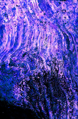 50% OFF on Colour Mix Canvas Art 50% OFF on Colour Mix Canvas Art