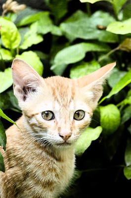 50% OFF on Scared Paper Print