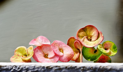 50% OFF on Colourful Flowers Canvas Art