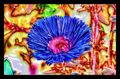 50% OFF on Shining Blue Paper Print 50% OFF on Shining Blue Paper Print