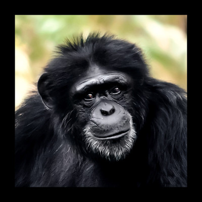 50% OFF on I Paper Print