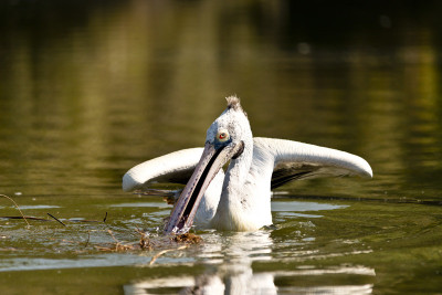 50% OFF on Its for Paper Print