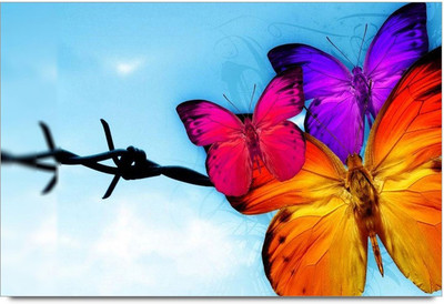 75% OFF on Colorful Buterfly Cool Tuch Paper Print 75% OFF on Colorful Buterfly Cool Tuch Paper Print