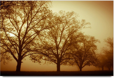 75% OFF on Amy Vintage Nature as a God Gift 3D Poster