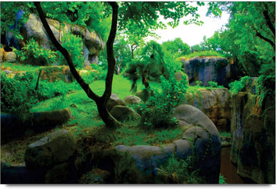 34% OFF on Amy Forest Scenery 3D Poster 34% OFF on Amy Forest Scenery 3D Poster