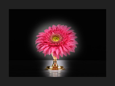 50% OFF on Gerbera in Paper Print
