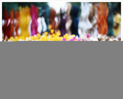 Dried Flower Print Fine Art Print Dried Flower Print Fine Art Print