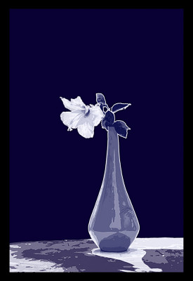 50% OFF on Hibiscus in Canvas Art