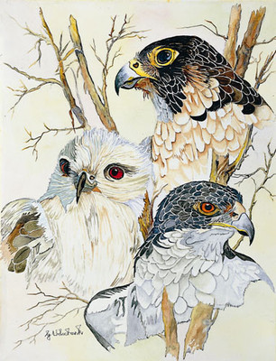 20% OFF on Birds of a Feather