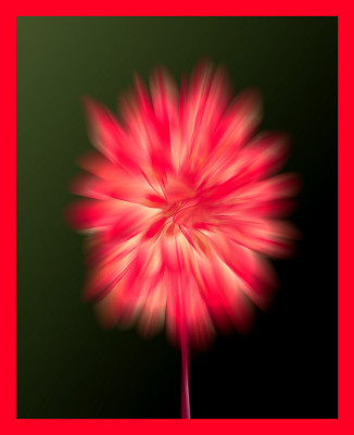 50% OFF on Divine Dahlia Paper Print