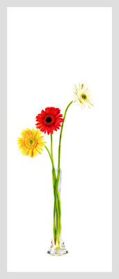 50% OFF on Gerbera in Paper Print 50% OFF on Gerbera in Paper Print