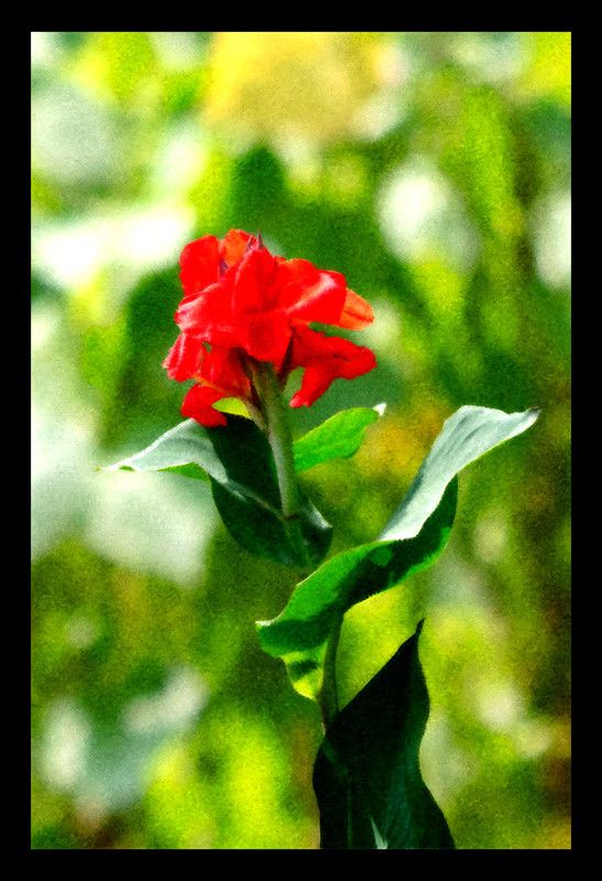 50% OFF on Red and Paper Print