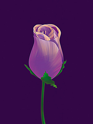 50% OFF on Rose Bud Paper Print 50% OFF on Rose Bud Paper Print