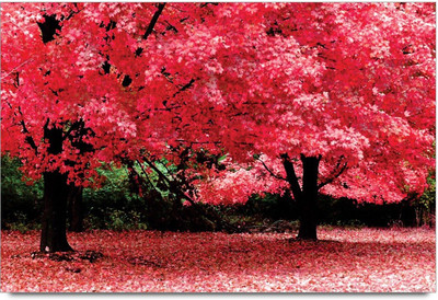 75% OFF on Amy Natural Tree Forest Beauty 3D Poster 75% OFF on Amy Natural Tree Forest Beauty 3D Poster