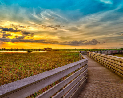 6% OFF on Wonder Images Road to the Fields Art Print Canvas Art