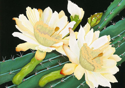 44% OFF on Flowers Paper Print