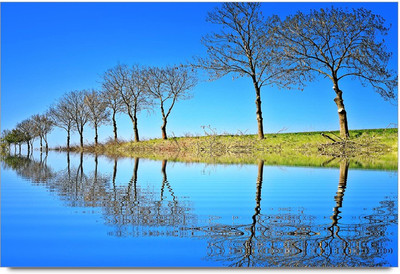 50% OFF on Bank river with tree Paper Print