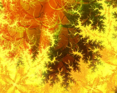 50% OFF on Fractal forest , Paper Print 50% OFF on Fractal forest , Paper Print