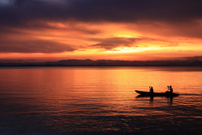 59% OFF on Nature Canvas Art