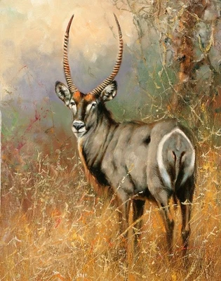 79% OFF on Canvas painting without frame - Wonder Beer Canvas Art