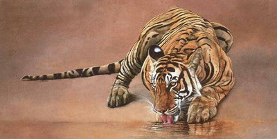 55% OFF on Tiger Drinking Water Fine Art Print 55% OFF on Tiger Drinking Water Fine Art Print