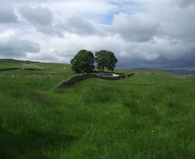 80% OFF on Holicshop Painting Without Frame - Nature Canvas Art