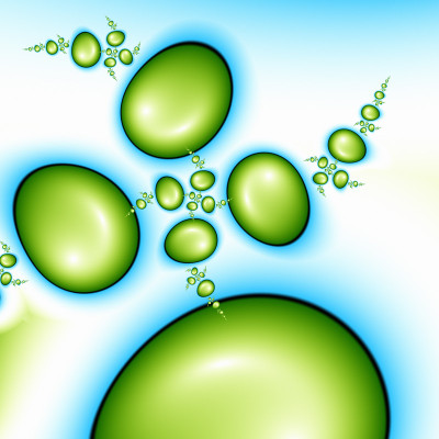 50% OFF on Seeds of Paper Print 50% OFF on Seeds of Paper Print