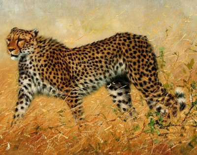 77% OFF on Canvas painting without frame - Tiger Canvas Art