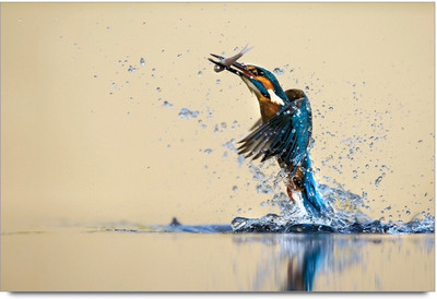 75% OFF on Amy Kingfishers Art Wok Photographic Paper