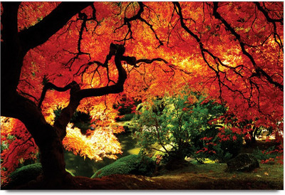 34% OFF on Amy Beautiful Scenery Forest 3D Poster 34% OFF on Amy Beautiful Scenery Forest 3D Poster
