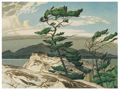 Montage - White Pine Fine Art Print