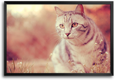 46% OFF on ShopMantra Beautiful Cat Laminated Frame Poster Paper Print 46% OFF on ShopMantra Beautiful Cat Laminated Frame Poster Paper Print