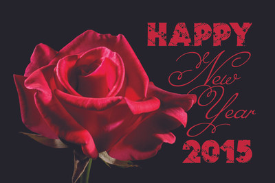16% OFF on Poster - Happy New Year Woth Red Rose Love Paper Print