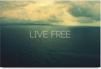 58% OFF on Live Free Motivational Poster Paper Print 58% OFF on Live Free Motivational Poster Paper Print