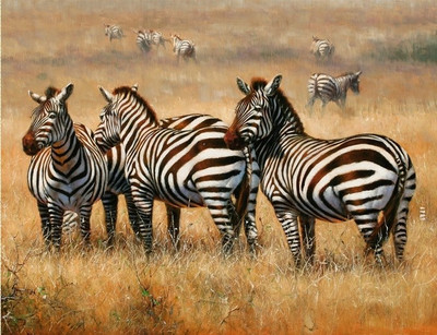 77% OFF on Canvas painting without frame - Zebra Canvas Art