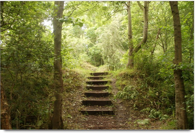 50% OFF on Nature Beauty Paper Print