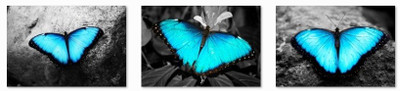 33% OFF on Butterfly Fine Art Prints 3D Poster