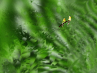 50% OFF on Fractal nature Paper Print