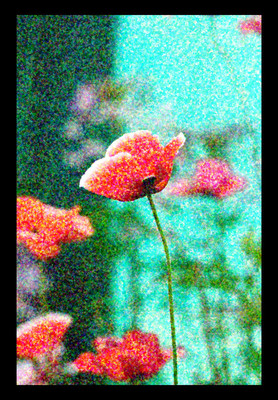 50% OFF on Poppies 03 Paper Print