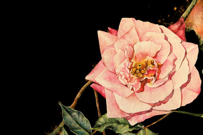 28% OFF on Glowing in the Dark Canvas Art