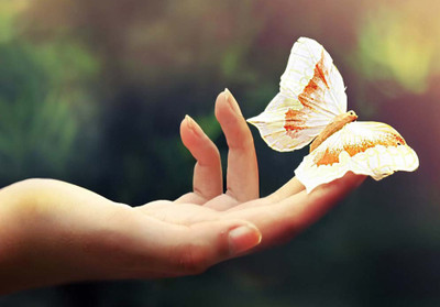 41% OFF on Butterfly Fine Art Print