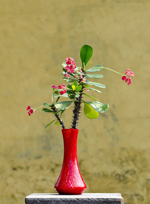 50% OFF on Flowers in Paper Print 50% OFF on Flowers in Paper Print