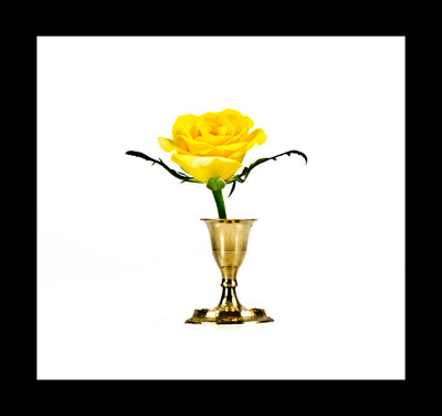 50% OFF on Rose in Canvas Art